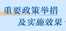 重要政策舉措及實(shí)施效果